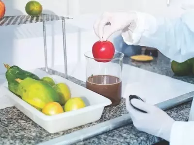 Inovações em Películas Comestíveis: Prolongando a Vida Útil de Frutas e Vegetais