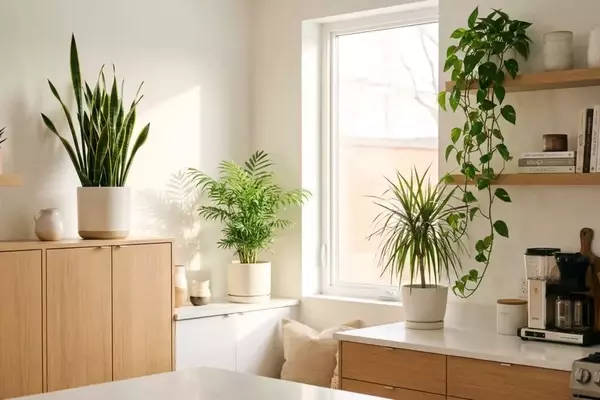 Verde na Cozinha: As Melhores Plantas para seu Espaço Culinário