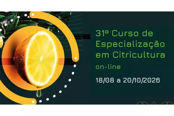 Inscrições Abertas para o 31º Curso de Citricultura do IAC: Uma Oportunidade Única de Especialização Online