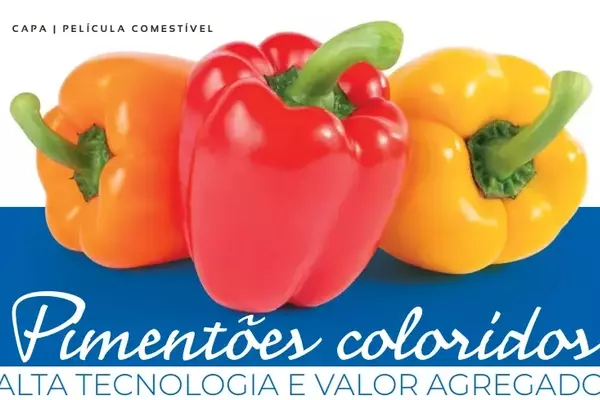 Inovação e Rentabilidade: O Crescimento dos Pimentões Coloridos no Brasil